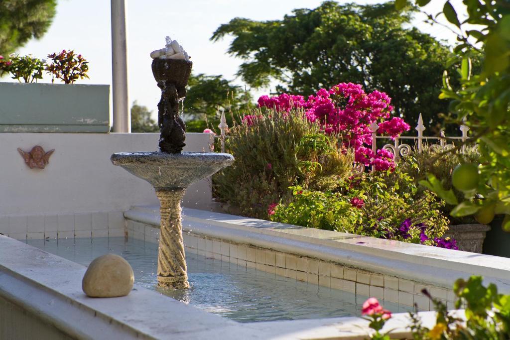 Bed and Breakfast Gilmour Hill Ciudad del Cabo Exterior foto